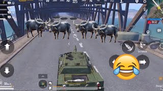PUBG MOBILE FUNNY MOMENTS 😱🤣
