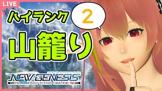 【PSO2NGS】40目指してレベリング 続！！！【ship10/新人Vtuber】