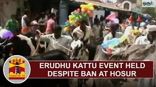 'Erudhu Kattu' event held despite ban at Hosur | Thanthi TV