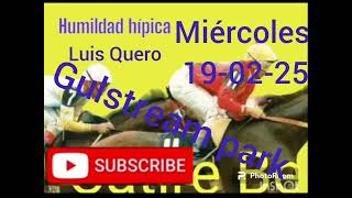 pronóstico gulstream park miércoles 19-02-25 humildad hipica pronóstico