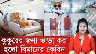 কুকুরের জন্য ভাড়া করা হলো বিমানের কেবিন | আজব খবর | Ajob Khobor