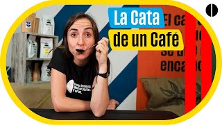 ☕ La Cata de un Café: El Protocolo SCA (Specialty Coffee Association)