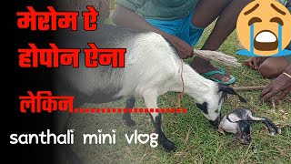 मेरोम ऐ होपोन ऐना लेकिन...........😭| Santhali mini vlog| Murmu Koda Vloger|