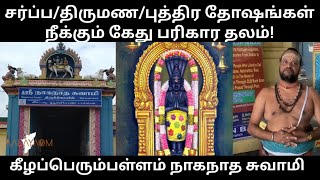 கேது பரிகார தலம்| கீழப்பெரும்பள்ளம் நாகநாத சுவாமி கோயில்|  Keezhaperumpallam Kethu Parigara Temple|