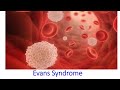 Evans syndrome//a rare blood disorder
