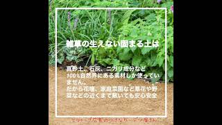 自然素材で雑草対策！　雑草の生えない固まる土で雑草ストレスから解放　広島のお庭づくり専門店ヒルトップ広島の小さなガーデン屋さん