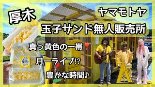 【玉子サンド無人販売所】玉子サンドを買いに行ったら思いがけず豊かな時間を過ごせた件✨✨