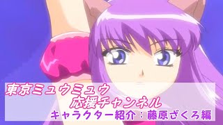 【東京ミュウミュウ解説】キャラクター紹介：藤原ざくろ編