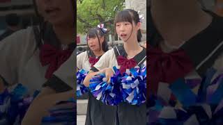 📱チアダンスRainbow鳥取さん ♬.*ﾟ Bling-Bang-Bang-Born　 青い鳥コンサート 2024.07.27