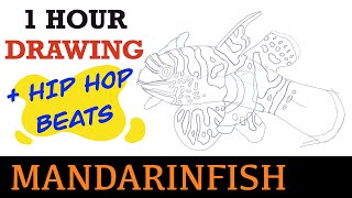 Enjoy 1 Hour Lo-Fi Hip Hop Beats + Mandarinfish Drawing