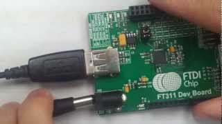 FT311D Uart Demo loopback + Usage