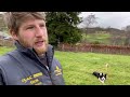 sheepdog commands explained