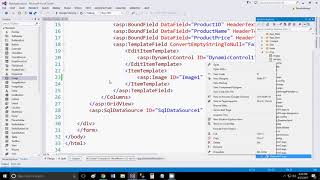 Show binary format images in asp.net from sql server