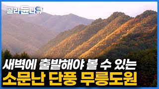 새벽밥 먹고 출발해야 겨우 볼 수 있는 대한민국 최고의 단풍 명소｜중국의 무릉도원과 비슷하게 생겨 등산객이 붐비는 명산ㅣ한국기행│#골라듄다큐