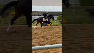 First Mission galloping at Pimlico 5/17