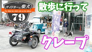 サイドカーに柴犬 ７９ [ 鶴見緑地・大和川河川敷緑地公園 ]　The Shiba Inu   which rode on the sidecar 79.