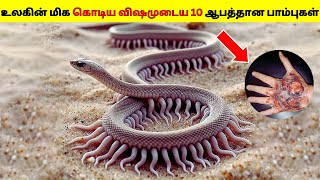 உலகின் மிக கொடிய விஷமுடைய ஆபத்தான பாம்புகள்2024 Part-2/Most Dangerous Snakes in the World/DeeAmazing