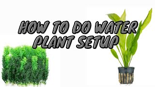 How to do water plant setup (DIY Smart Series)