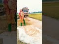 গ্রামের মেয়েদের কৃষি কাজ how to make a village gril agriculture work video 2023 🌲🎋 youtubeshorts