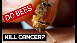 Does bee venom kill skin and breast cancer cells?  exciting new research.