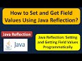How to Set and Get Field Values Using Java Reflection? | Reflection in java