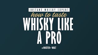 How to Taste like a pro| Master Of Malt