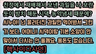 [사이다사연] 친정에서 보낸 과일을 썩혀버리고 당당한 시모에게 다시는 드릴 것 없다 했습니다. 사이다썰 미즈넷사연 응징사연 반전사연 참교육사연 라디오사연 레전드사연 핵사이다사연