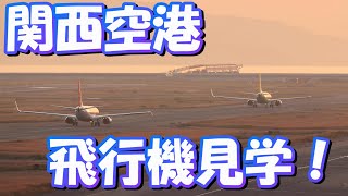 関西空港で飛行機を色々撮ってみた！