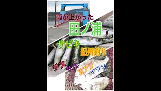 28日お昼の【田ノ浦】リアルタイム！ fishingmax和歌山インター店