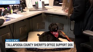 Emotional support dog joins Tallapoosa County 911 dispatch to support call-takers