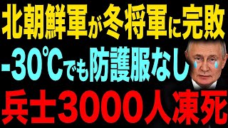 【極寒ロシアで北朝鮮軍3000人凍死】防寒着なしで迎えた悲惨すぎる結末【総集編】