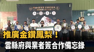 推廣金鑽鳳梨！雲縣府與業者簽合作備忘錄－民視新聞