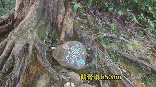 1月7日台北市文山(東北峰 貓空圓山 南邦寮山 二格山 阿柔洋山 鵝膏嶺 猴山岳 北峰 岐山古道)