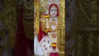 vadtal Dham laxminarayan dev #swaminarayan #swaminarayana #shreeswaminarayan