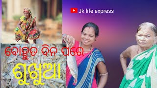 ବୋହୁତ ଦିନ ପରେ ଶୁଖୁଆ /Jk life express vlogs