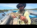 bermagui river flathead fishing nsw