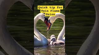 Quick Tip for Twin Flame Union #twinflamemessage #divinefeminine #divinemasculine #twinflames