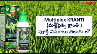 Multiplex Kranti (మల్టీప్లెక్స్ క్రాంతి) in Telugu | compete plant food | Software Engineer Farming