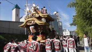 平成28年 神山/中/一須賀/大ケ塚/山城/東山 パレード入場 河南町60周年記念だんじりパレード 南河内だんじり祭り