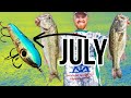 Why You Stop Catching Bass in July