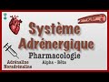 Système Adrénergique : Pharmacologie, catécholamines, agonistes, antagonistes