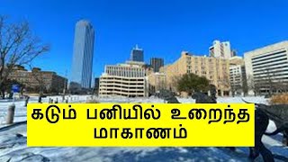 Texas news | கடும் பனியில் உறைந்த மாகாணம்