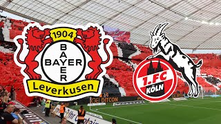 Bayer 04 Leverkusen - 1. FC Köln [Saison 2023/2024] | Impressionen