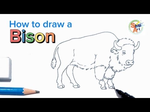 How To Draw A Bison Youtube