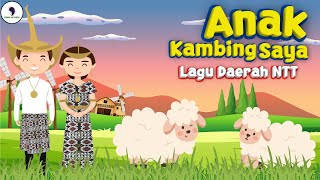 Anak Kambing Saya (Caca Marica Hei Hei) - Lagu Daerah NTT (Video Lirik) Song of Kids