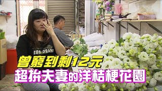 挺過難關花卉夫妻吳忠恩、侯怡玫【一步一腳印精選】