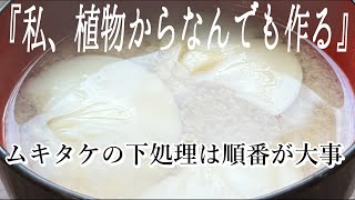 【必見】ムキタケの下処理の順番を間違えると悲惨な結果になる｜山菜・きのこ｜料理