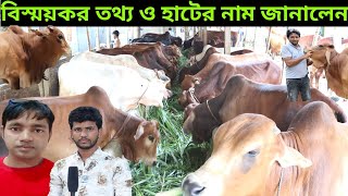 বিস্ময়কর তথ্য ও যে হাঁটে গরু পাওয়া যায় জানালেন | ও ষাঁড় বাচ্চার দাম সহ খুরা রোগের প্রতিকার |