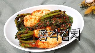 Making chonggak kimchi that has a good crunchy taste