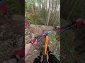 is tripple black a pro line mountainbike enduro bike downhill enduromtb